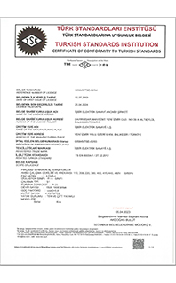 TS EN60034-1 Sertifikası